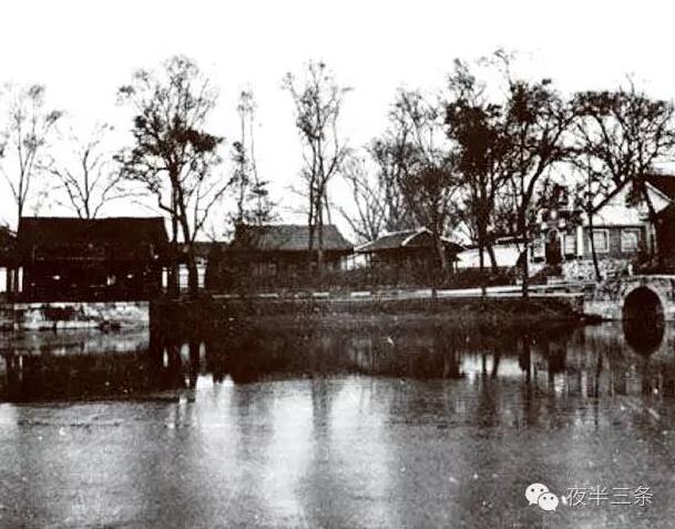 “紀念建黨95周年”：救國運動從夢草公園開始