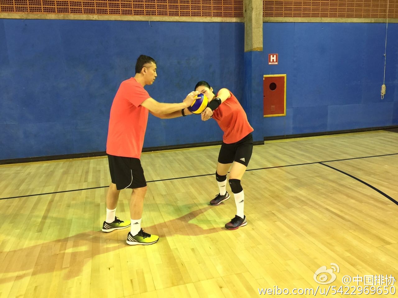 女排順利飛抵里約 圣保羅訓練營賽前忙備戰