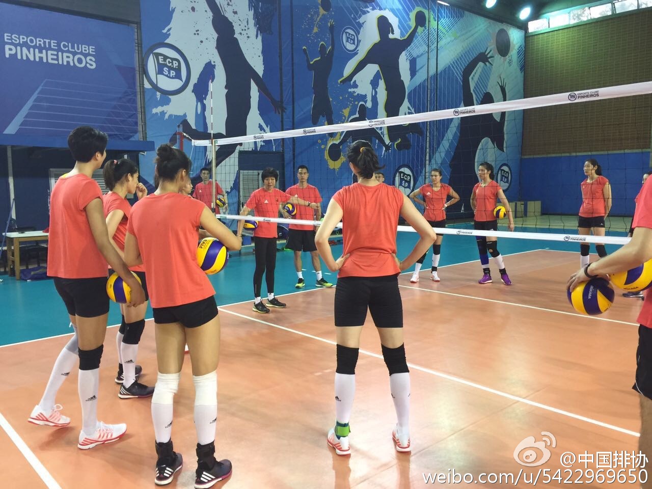女排順利飛抵里約 圣保羅訓練營賽前忙備戰(zhàn)