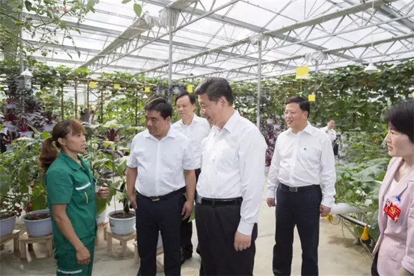 2015年，習總書記到過哪些地方？