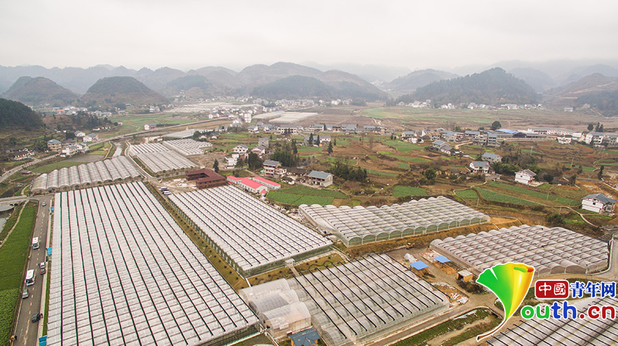 看花茂脫貧,習大大為何在這里找到了鄉愁