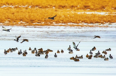 【治國(guó)理政新實(shí)踐·甘肅篇】青山綠水蘭州藍(lán) 繪出城市最美的顏色（圖）