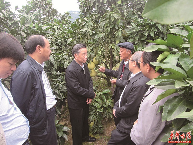 【治國理政新實踐湖南篇】扶貧先扶智，小基金大作用