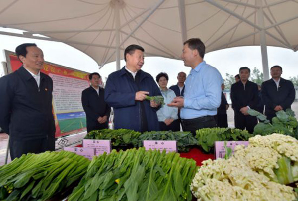 習近平對精準扶貧提出四項舉措