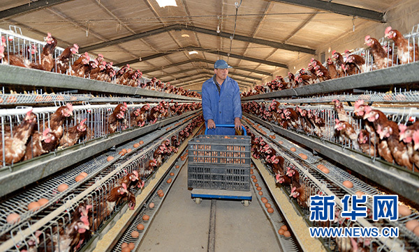 歷史的選擇,人民的期待