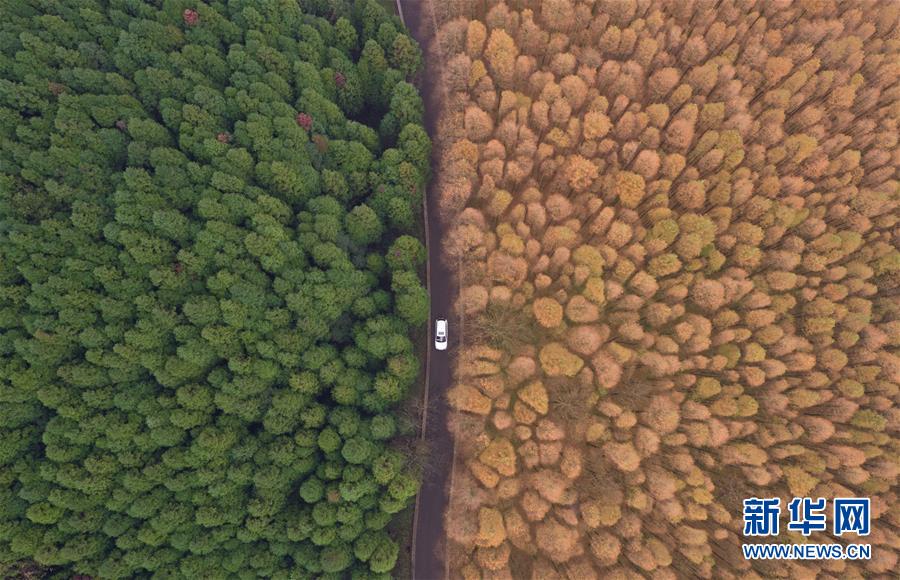 天空之眼瞰生態