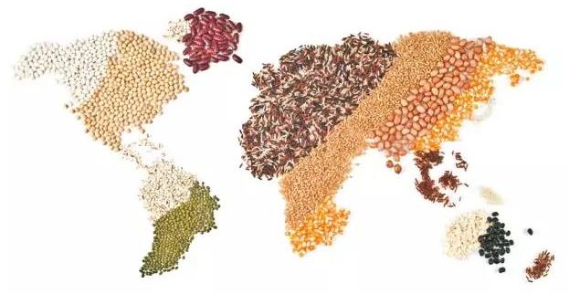 G20峰會前瞻 | 2050年全球人口新增20億,吃飯問題怎么辦?