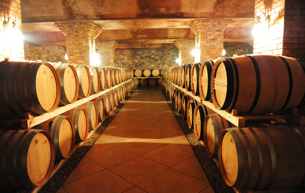 跟隨習主席的腳步，一起到阿根廷看一看！