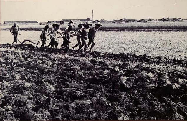 金立群:國(guó)家有前途,你才會(huì)有未來(lái)丨40年40人