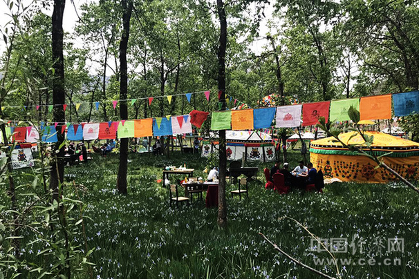 【金記者扶貧日記】荒坡變花海 邊麻溝村火了