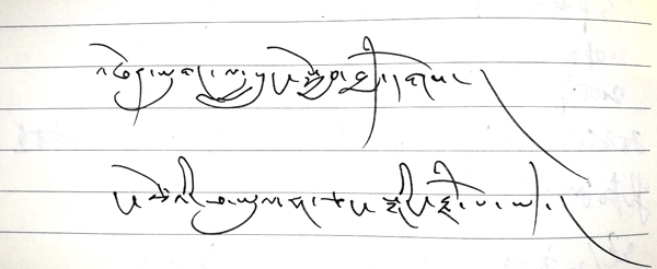 【雙綠報道】采訪手記:藏族護林員的故事二