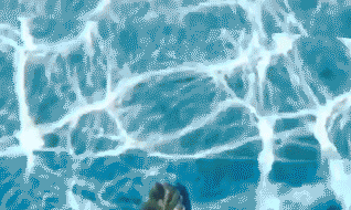 有錢(qián)還得有膽！美國(guó)豪華公寓推出“天空之池”