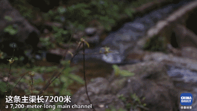 解碼中國丨這位當代“愚公”在懸崖峭壁上鑿出7千米水渠,現實比神話傳說更震撼!