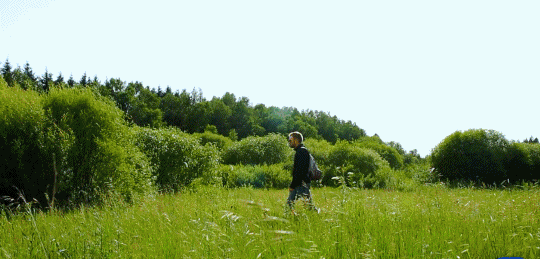 英國小哥到河北塞罕壩避暑，竟意外收獲了一個美麗的故事丨好運中國