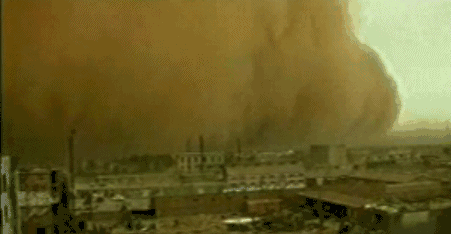 英國小哥到河北塞罕壩避暑，竟意外收獲了一個美麗的故事丨好運中國