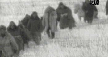 英國小哥到河北塞罕壩避暑，竟意外收獲了一個美麗的故事丨好運中國