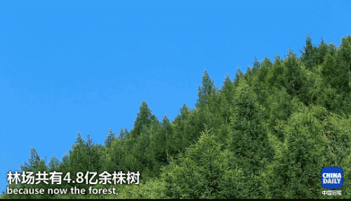 英國小哥到河北塞罕壩避暑，竟意外收獲了一個美麗的故事丨好運中國