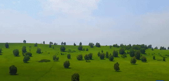 英國小哥到河北塞罕壩避暑，竟意外收獲了一個美麗的故事丨好運中國