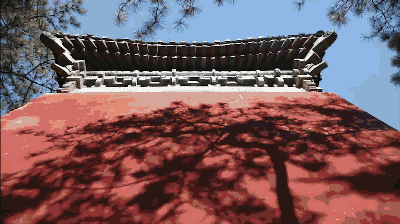 獨(dú)家視頻|這五年:英國小妹從北京到雄安,發(fā)現(xiàn)果然1+1+1>3!