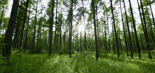 綠水青山就是金山銀山,美麗中國(guó)正在我們眼前展現(xiàn)丨艾瑞克跑十九大