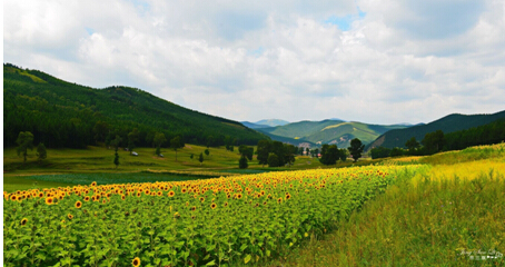 【地產華表獎名人寄語】美林地產總裁戴濱