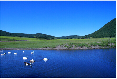 【地產華表獎名人寄語】美林地產總裁戴濱