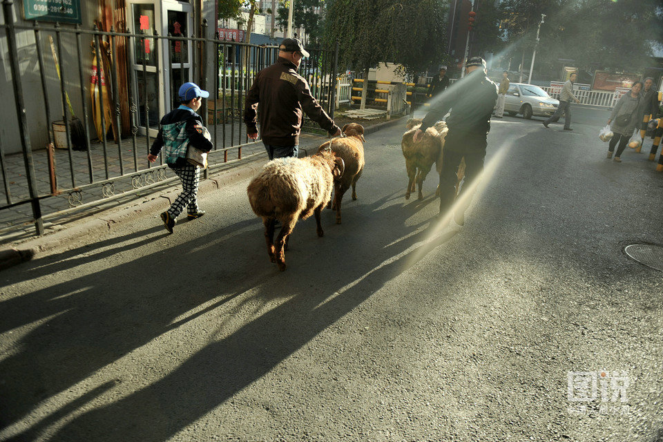 圖說中國人的生活：伊力扎提的古爾邦節