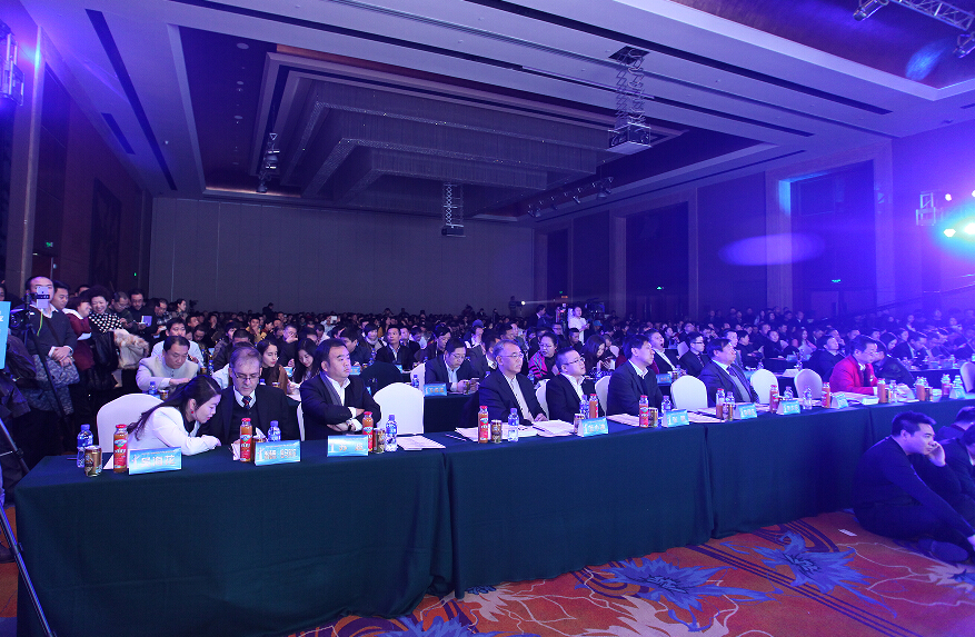 北京長(zhǎng)埔房地產(chǎn)開發(fā)有限公司董事長(zhǎng)孫林芳榮獲華表獎(jiǎng)年度領(lǐng)軍人物