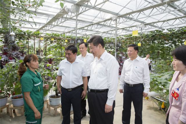 2015年,習(xí)近平總書(shū)記到過(guò)哪些地方?