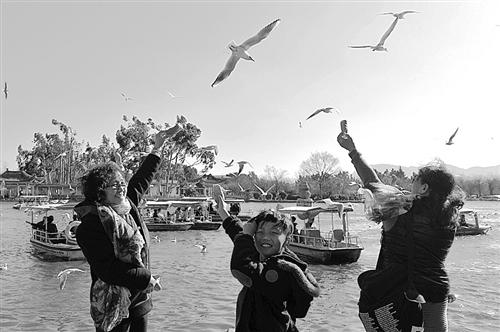 猴年假期旅游市場節(jié)味濃 冬奧會(huì)帶動(dòng)冰雪旅游