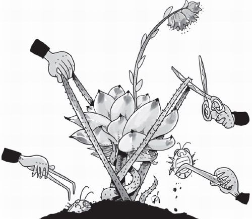 評論:反腐有助經(jīng)濟(jì)增長和減少貧困人口