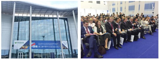 日月同輝兩大現貨平臺登上國際舞臺引國內外熱議