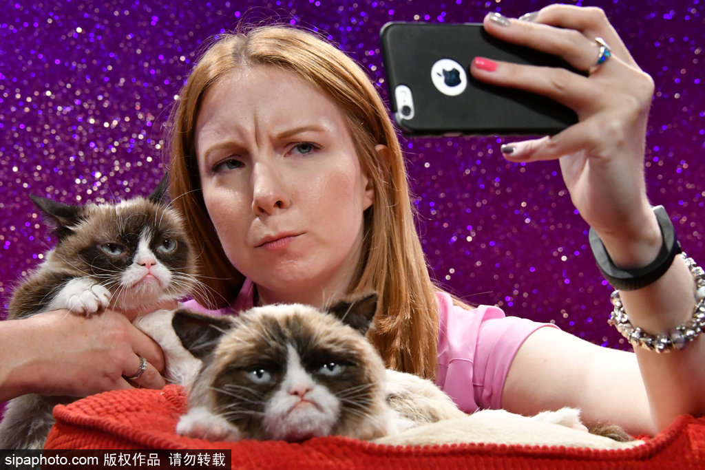 倫敦：著名“不爽貓”蠟像亮相杜莎館 與本尊合影傻傻分不清楚