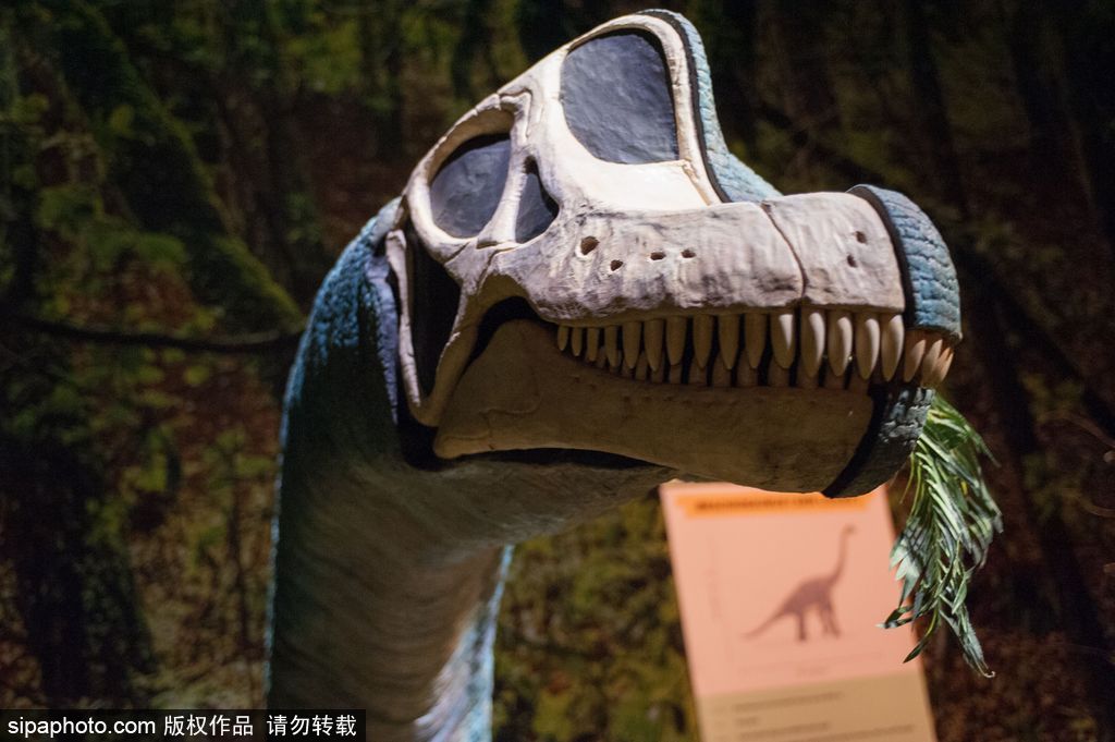 英國(guó)恐龍展超逼真 彷佛回到侏羅紀(jì)