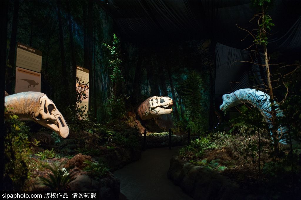 英國恐龍展超逼真 彷佛回到侏羅紀(jì)