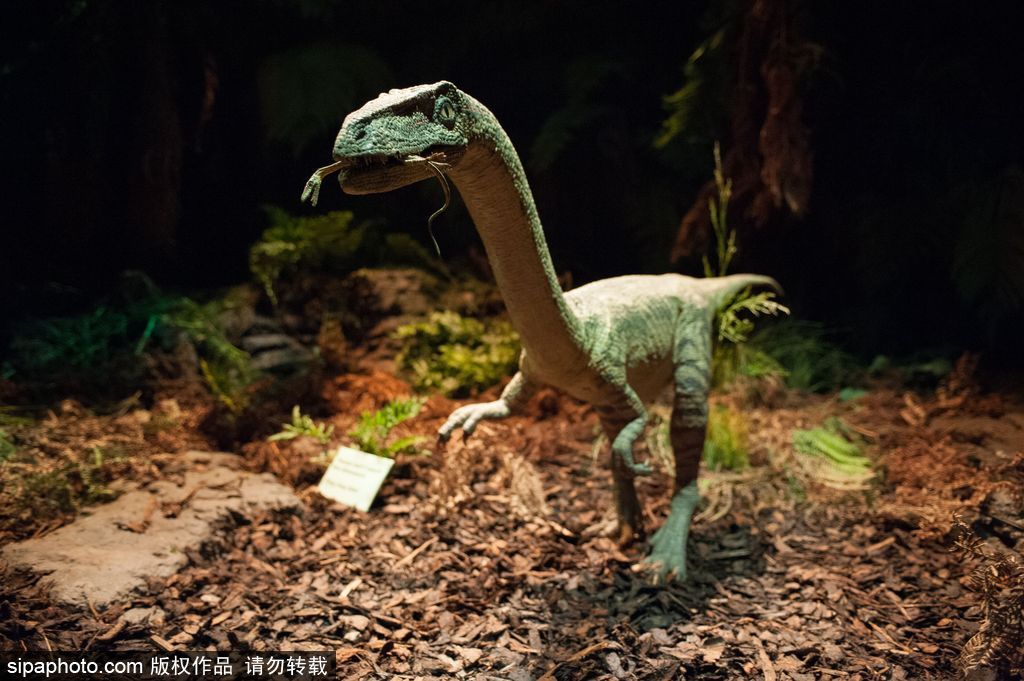 英國恐龍展超逼真 彷佛回到侏羅紀