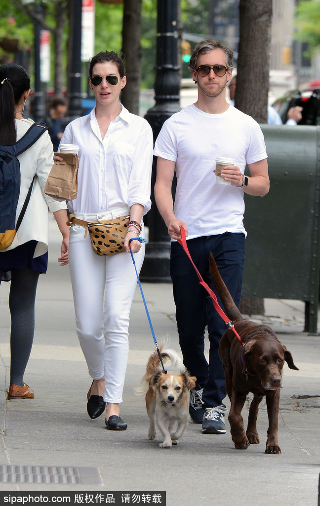 盤點(diǎn)：“星級”鏟屎官與汪星人的溫馨日常