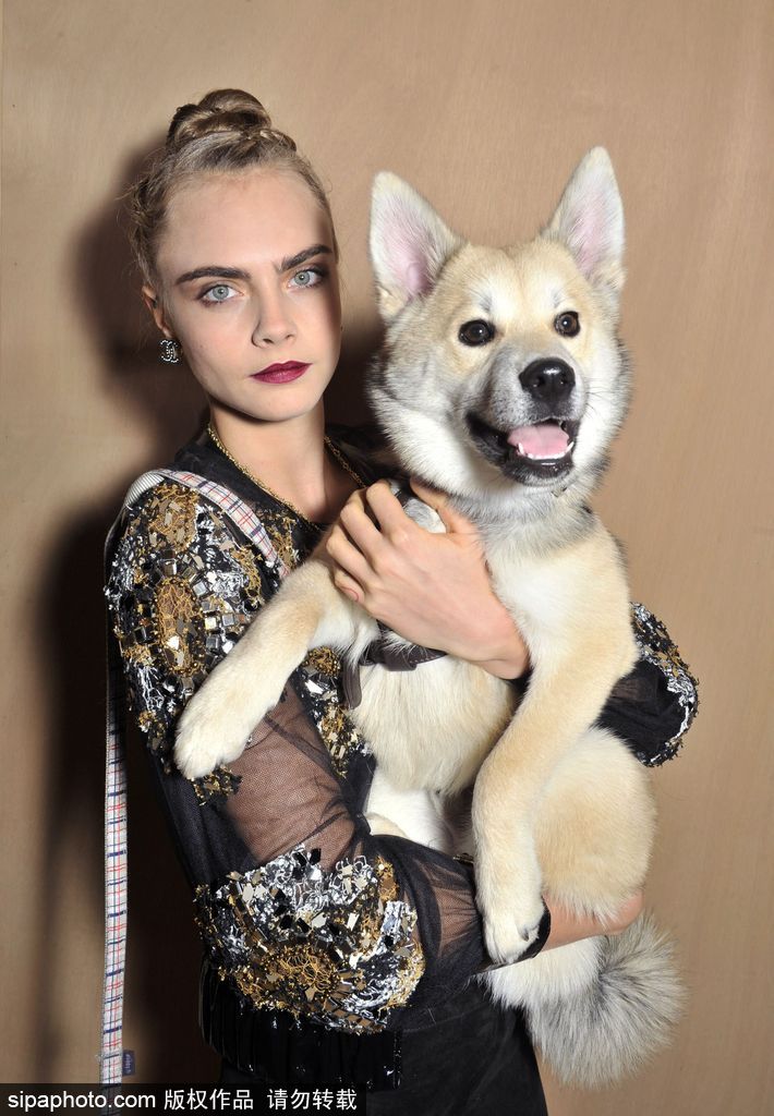 盤(pán)點(diǎn)：“星級(jí)”鏟屎官與汪星人的溫馨日常