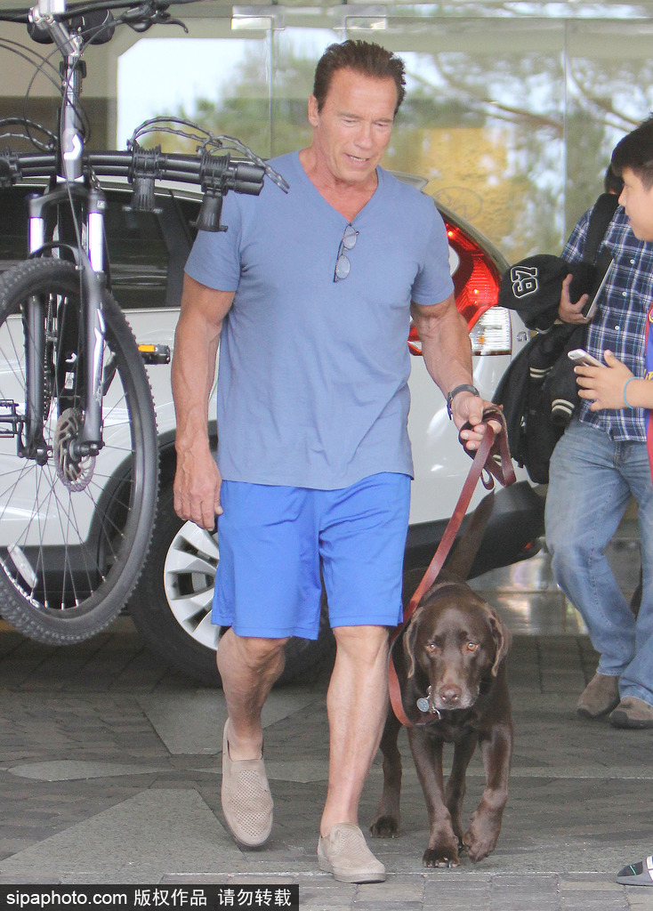 盤點(diǎn)：“星級(jí)”鏟屎官與汪星人的溫馨日常