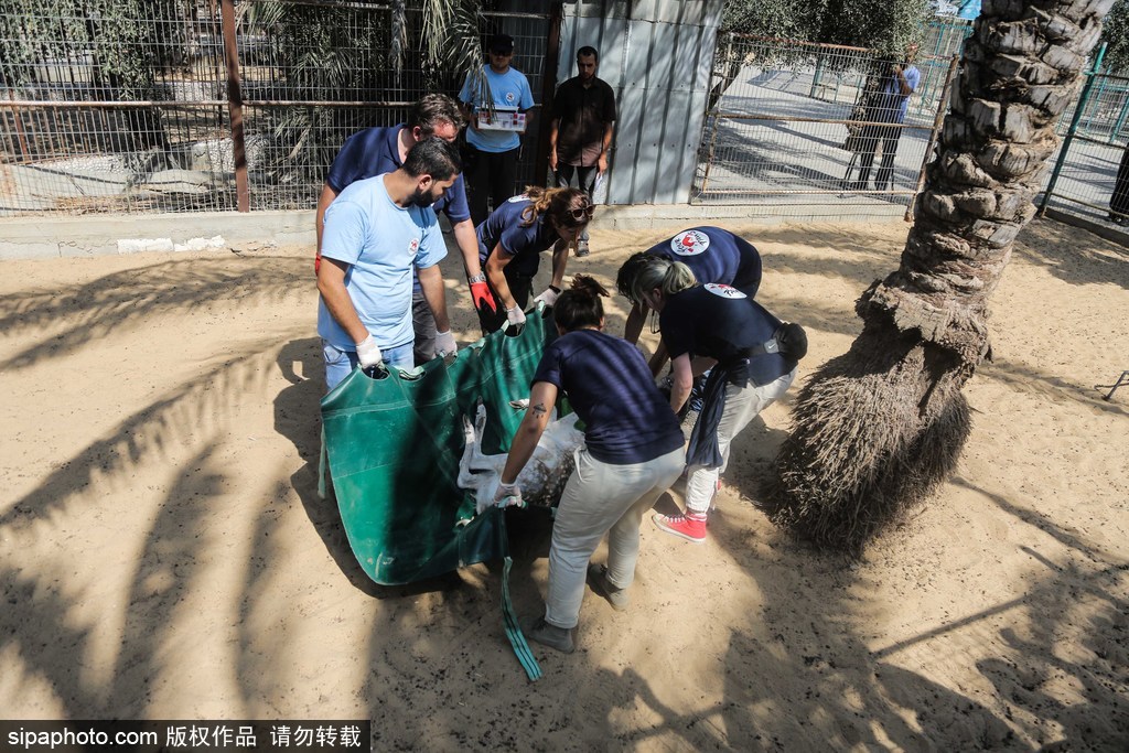 全球最慘動(dòng)物園永久關(guān)閉