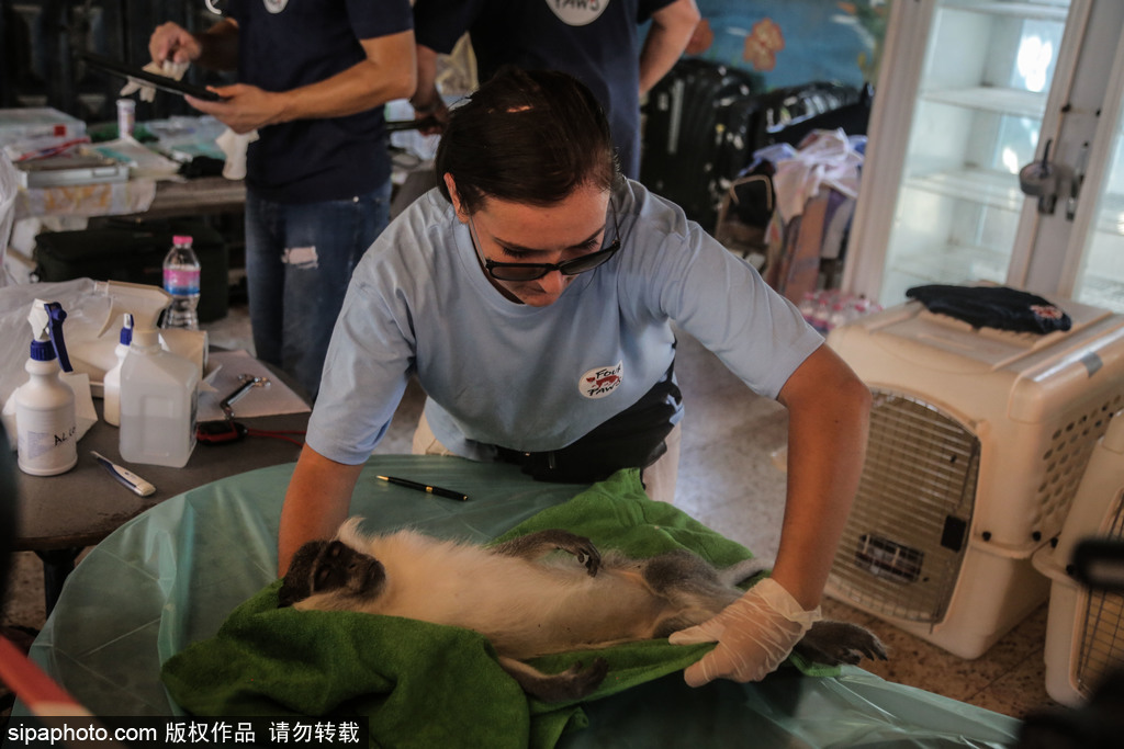 全球最慘動物園永久關閉