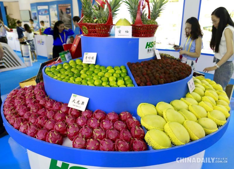 第十九屆中國國際投資貿易洽談會在廈門開幕