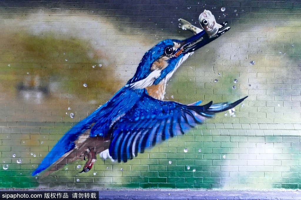 英國：卡通藝術(shù)作品亮相牛津運(yùn)河橋底 繽紛多彩趣味十足