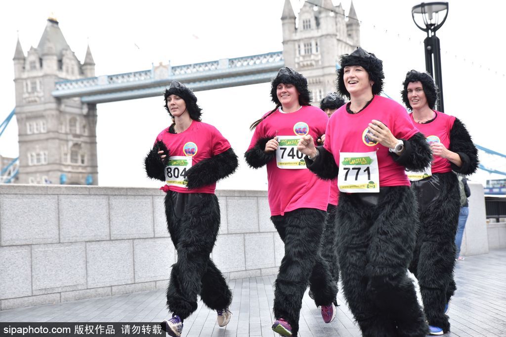 英國(guó)舉辦“大猩猩”慈善跑 人扮猩猩獻(xiàn)愛(ài)心募款