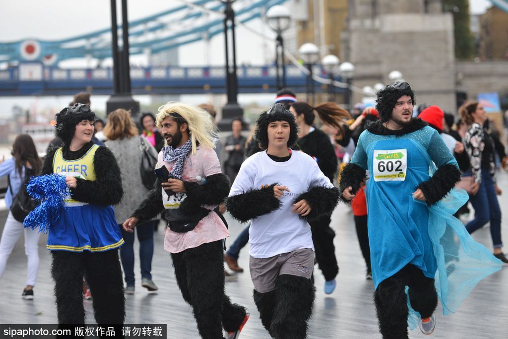 英國舉辦“大猩猩”慈善跑 人扮猩猩獻(xiàn)愛心募款