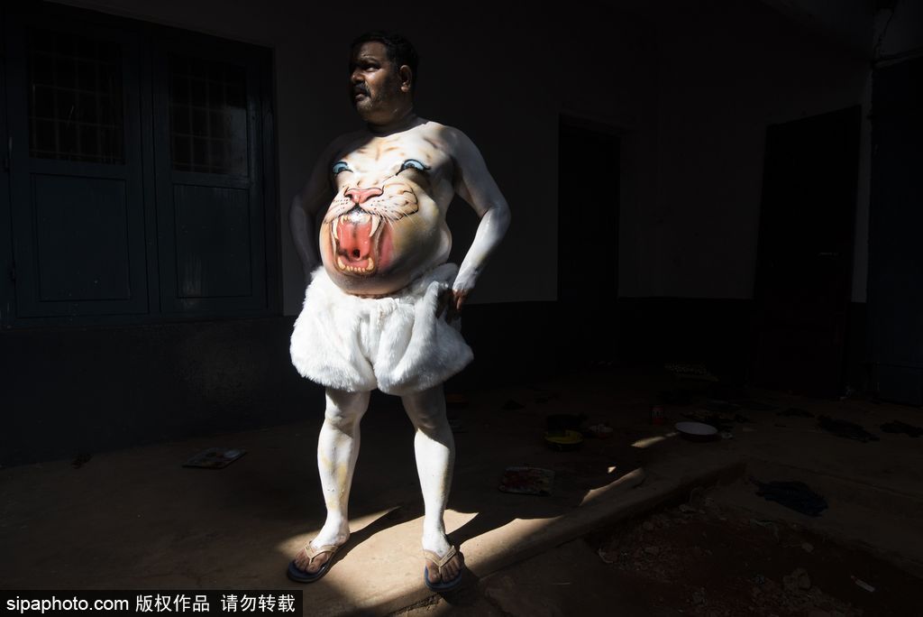 印度傳統(tǒng)虎舞的臺前幕后 表演者用顏料涂滿全身化身“猛虎”