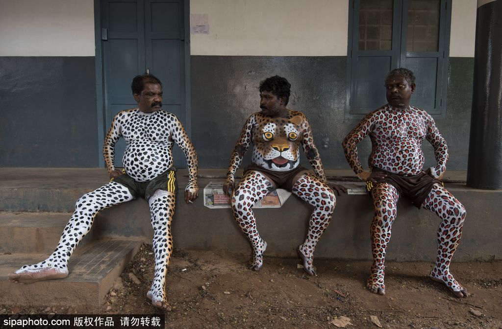 印度傳統虎舞的臺前幕后 表演者用顏料涂滿全身化身“猛虎”