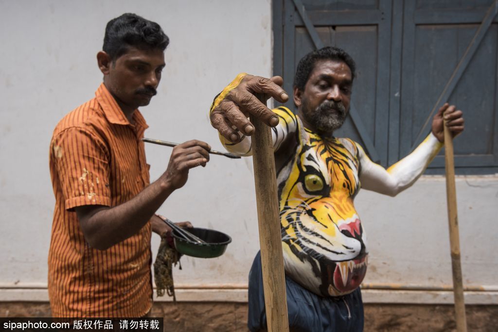 印度傳統虎舞的臺前幕后 表演者用顏料涂滿全身化身“猛虎”