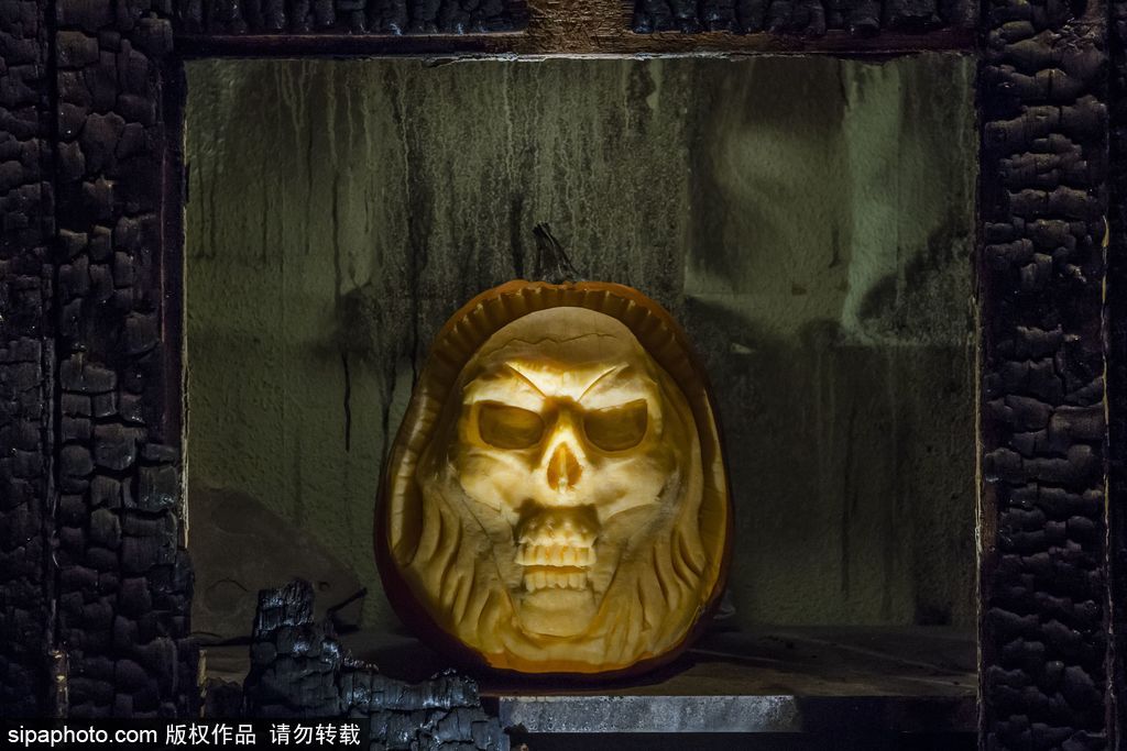 英國：萬圣節最新流行人臉南瓜 特朗普希拉里“上鏡”