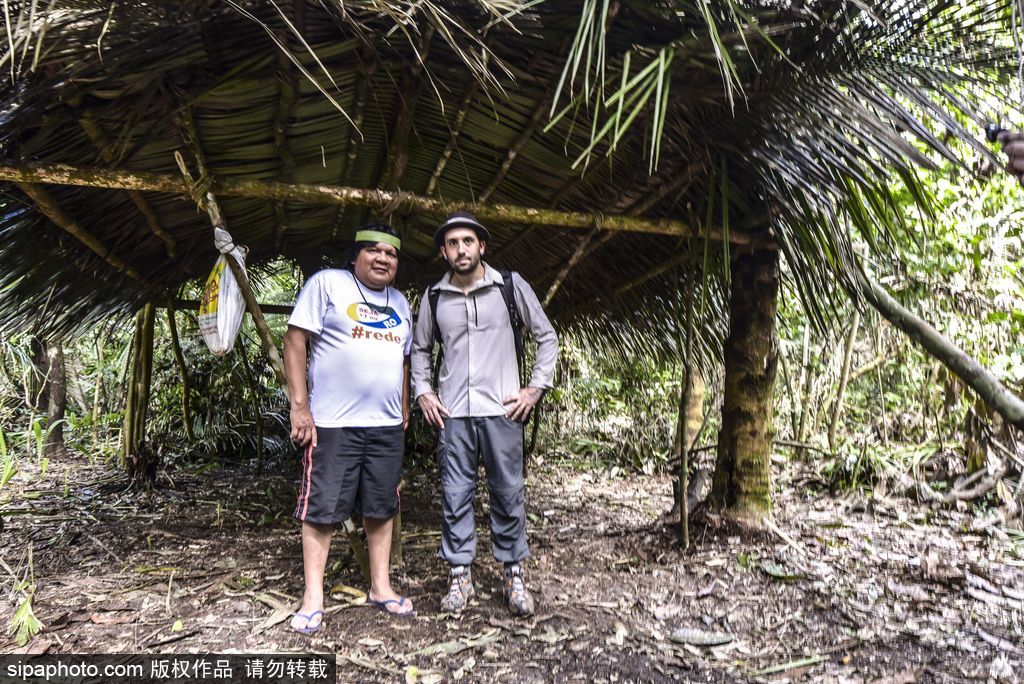 巴西熱帶雨林的投影 攝影師打造震撼光影涂鴉提倡環(huán)保